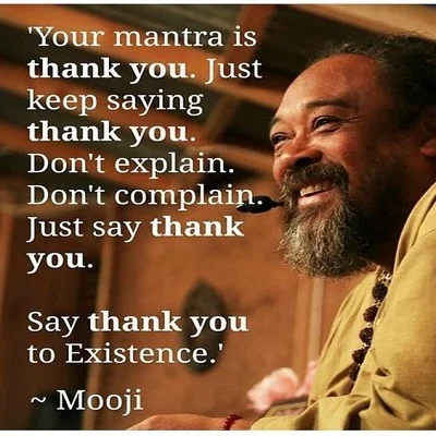 Mooji — non-dual spiritual teacher, disciple of Papaji, Monte Sahaja Portugal